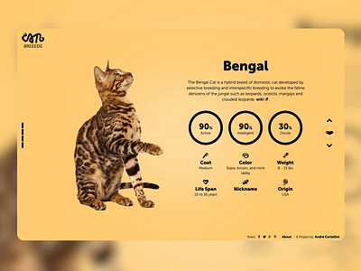 Cat Breeeds branding cat breeds cats design illustration interaction design logo responsive ui ux vector web design
