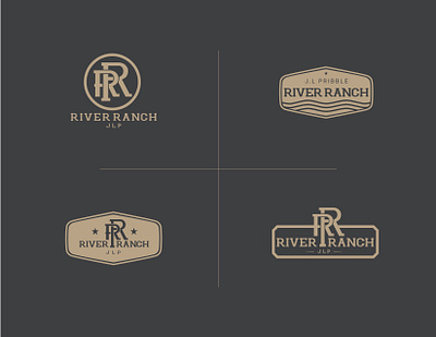 Logo Concepts branding graphic design logo