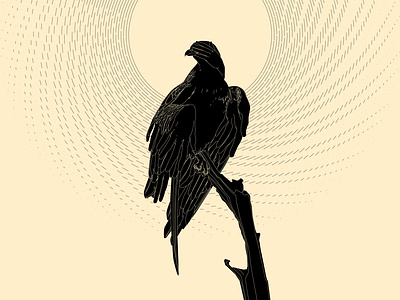 Eagle abstract blind composition conceptual illustration desert design dual meaning eagle eagle illustration hand hand illustration hands illustration laconic linar lines minimal poster sun sun illustration