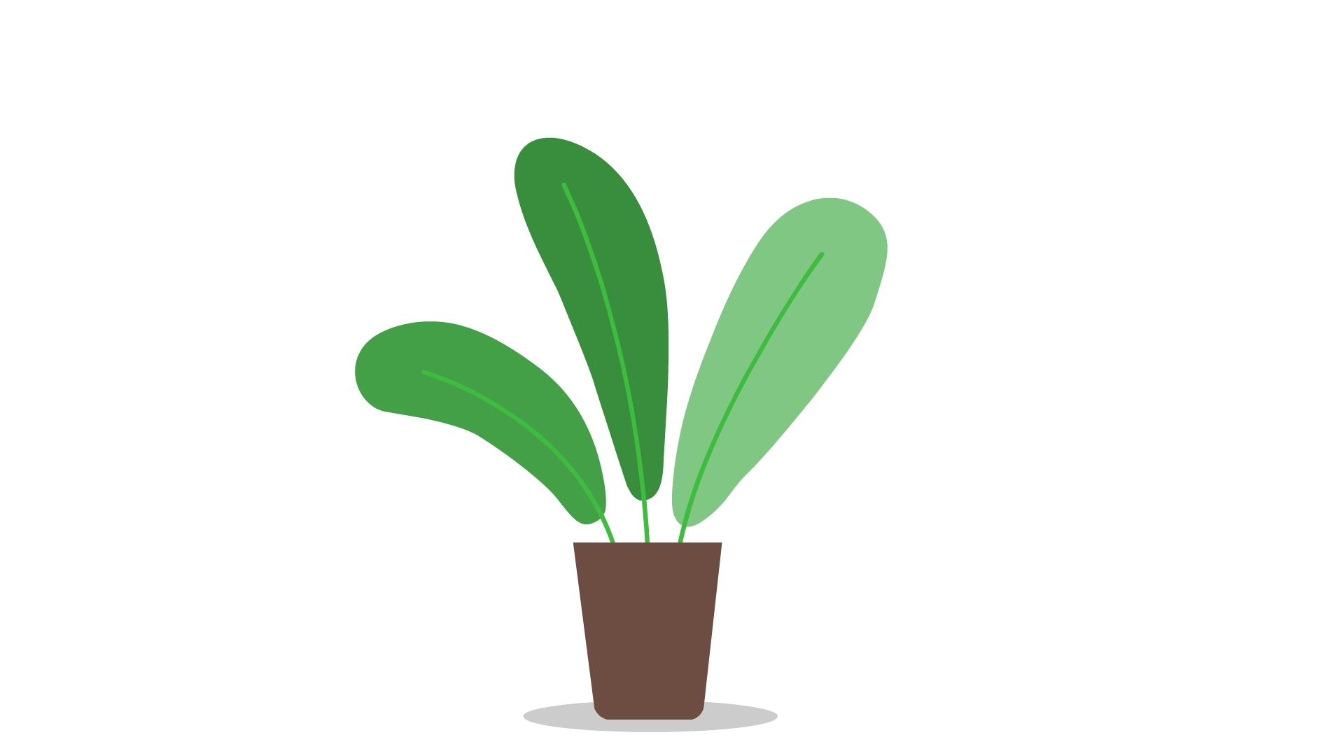 the plant is blown by the wind 2d animation animation gif animation gifs motion graphics