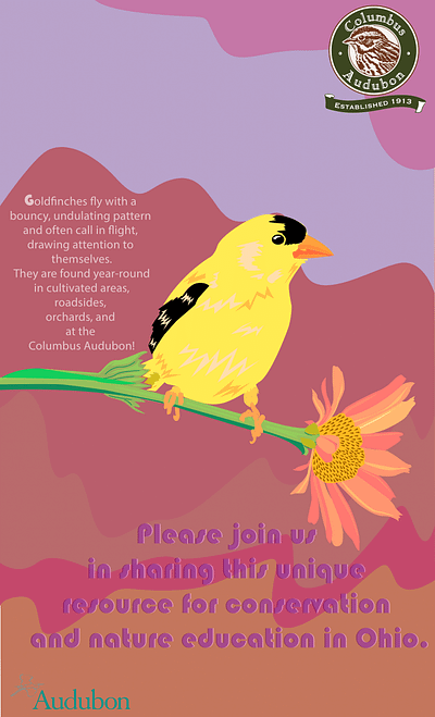 goldfinch design illustration poster vector