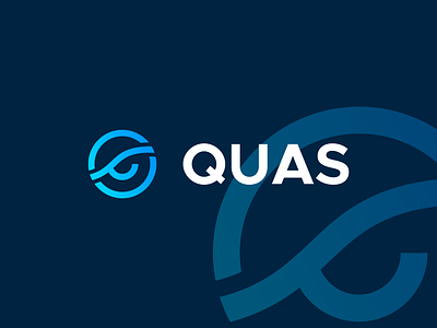 QUAS branding brand design brand designer brand details brand identity branding color palette graphic design identity logo logotype rebrand rebranding social media design