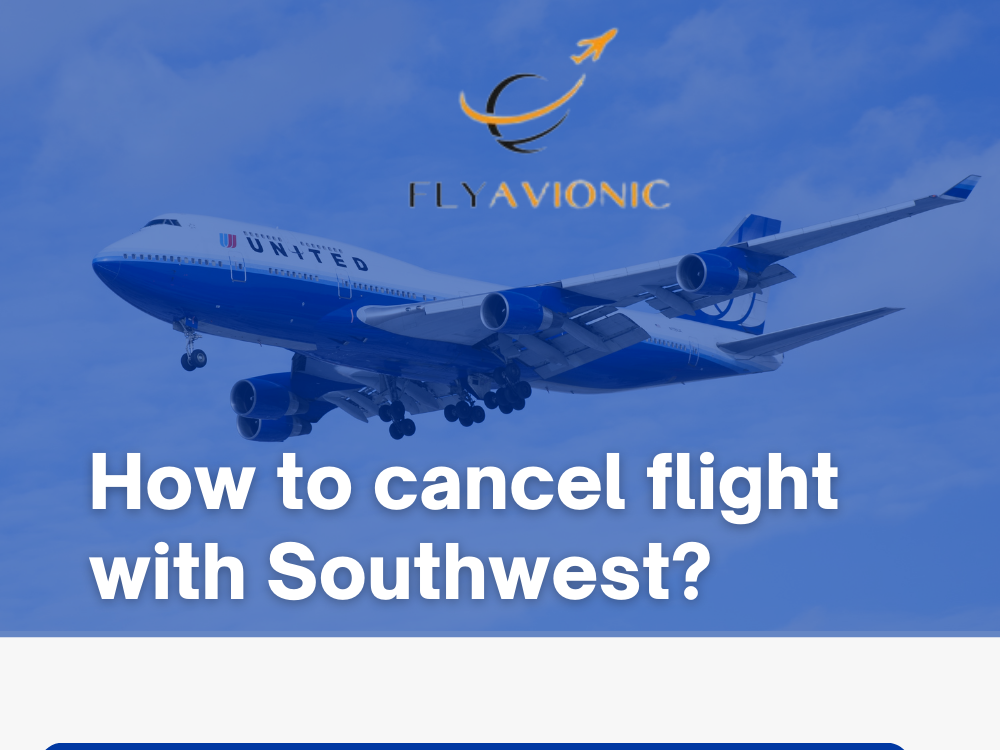 How to cancel flight with Southwest? by Alex Erickson on Dribbble