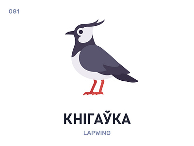 Кнíгаўка / Lapwing belarus belarusian language daily flat icon illustration vector