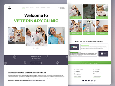 Web Site Design - Veterinary Clinic | Сoncept branding clinic concept design graphic design logo ui user user flow user story ux vet clinic web website