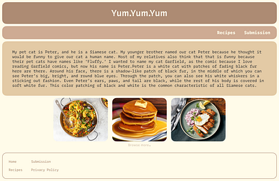 Food Blog UI foodblog ui