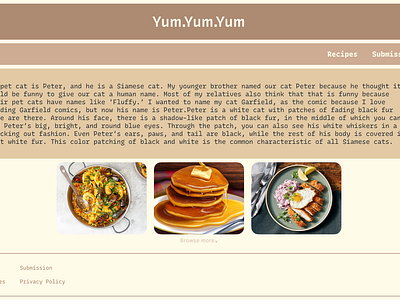 Food Blog UI foodblog ui