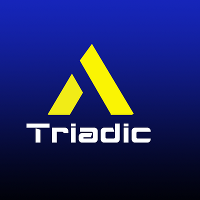 Visual identity for Triadic branding design graphic design illustration logo typography vector