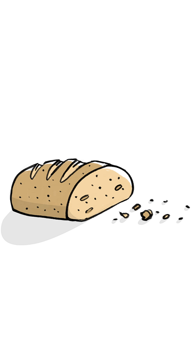 Seagull and bread 2d aftereffects animation design framebyframe illustration loop photoshop