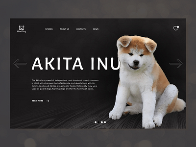 Concept | Mine Dog design ui web website page
