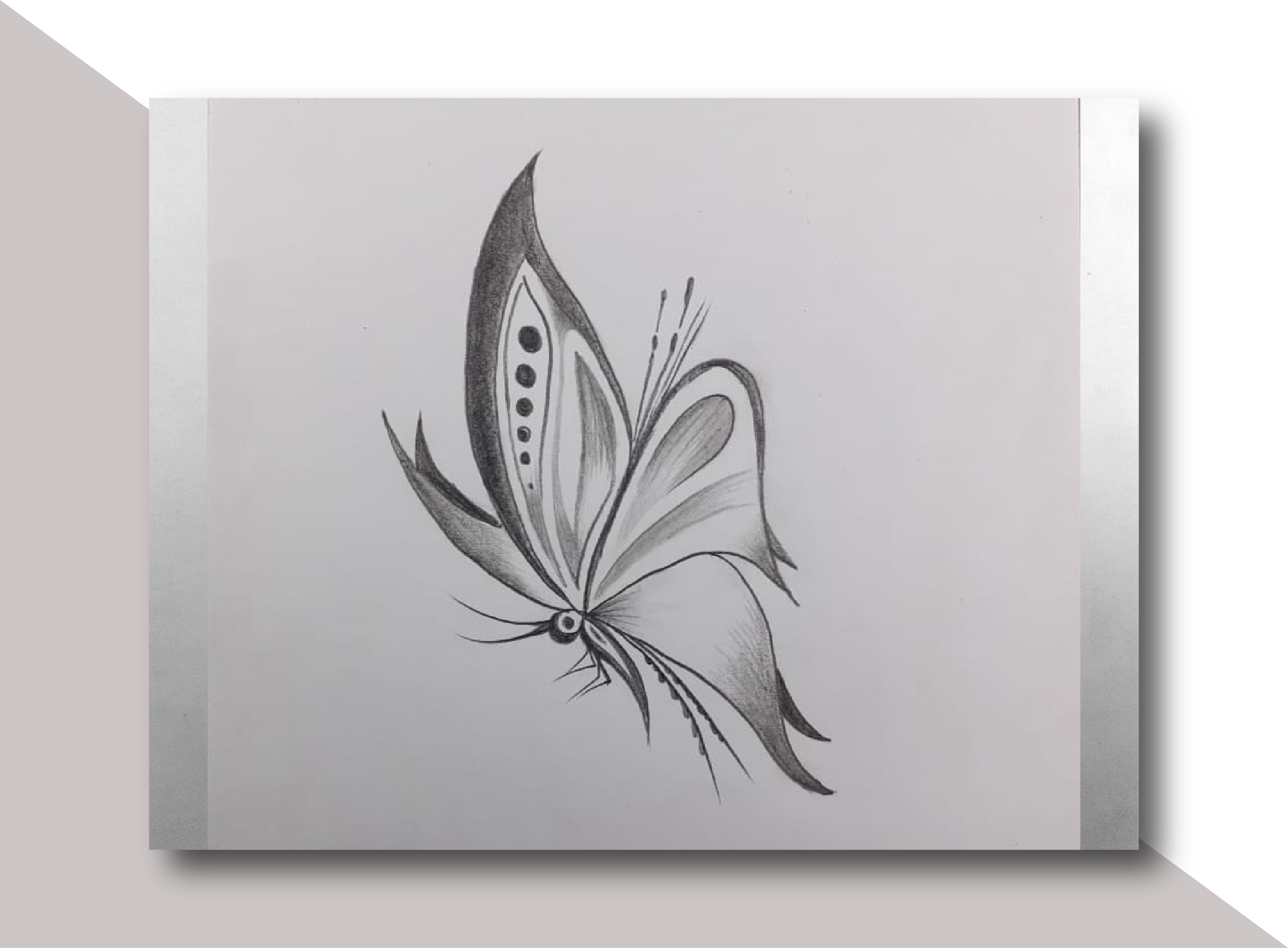 Butterfly Pencil Art Drawing by JABED, Digital Marketer, SEO Expert