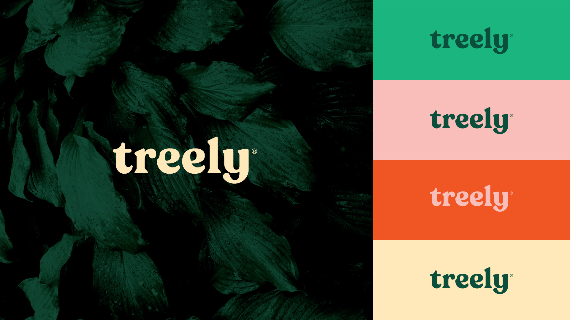 Treely branding logo logotype minimal simple typography
