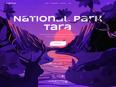 National Park Tara agency clean design figma forest illustration mountain nature ui ux web web design