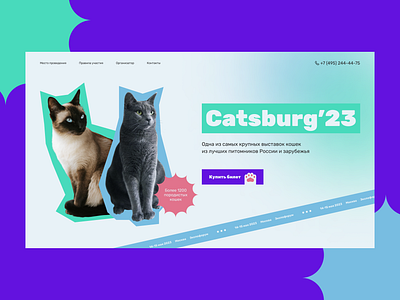 Catsburg concept animal cat cats concept design exhibition figma gradient show ui web web design