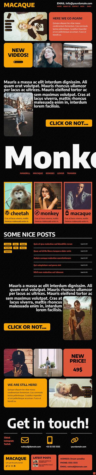 Macaque WordPress Theme app black block design modern noisy portfolio red template unique web design webdesign webshop wordpress yellow