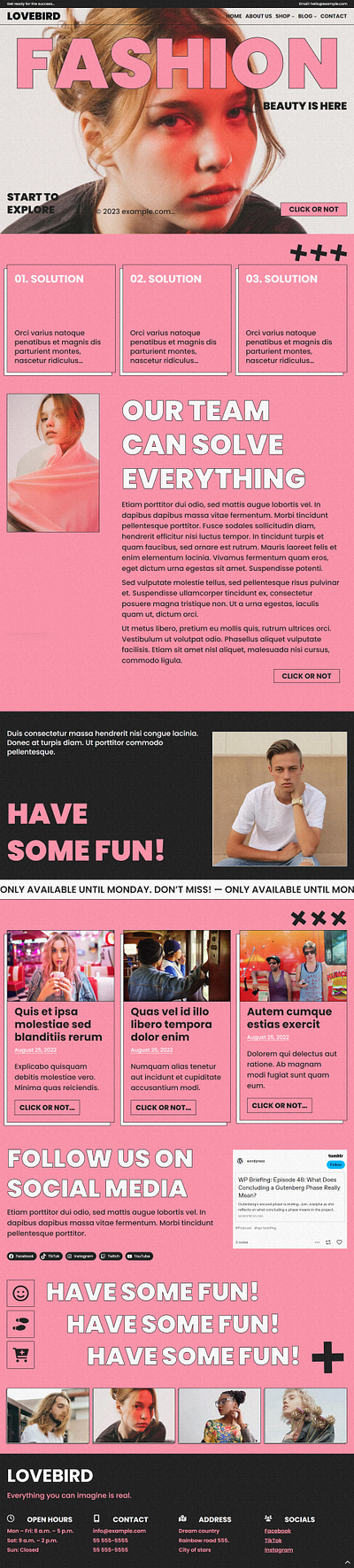 Lovebird WordPress Theme app block clean colorful fashion modern pink portfolio template ui unique ux web design webdesign webshop wordpress