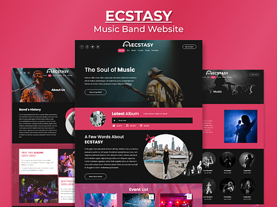 Ecstasy | Music Band Website customizable web template ecstasy inspiration music music band music website musician profressional website squarespace template web design website website for music band