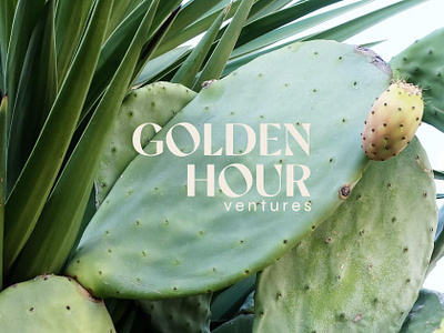 Golden Hour Ventures | Branding & WooCommerce+WordPress site art direction branding design ecommerce financial graphic design investing logo new york city social media ux venture capital webdesign website woocommerce wordpress