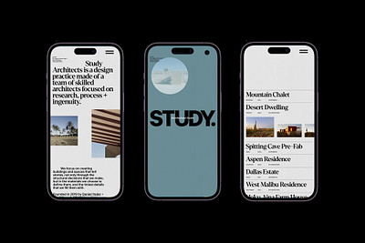 STUDY — Mobile Views branding colour design graphic design grid illustration layout logo typography ui ux web design website