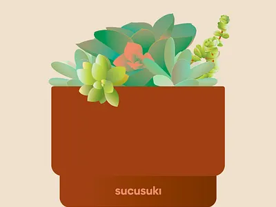 Succulent Pot flower illustration plant pot succulent vector