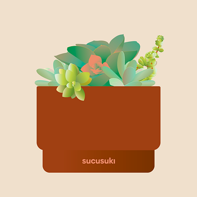 Succulent Pot flower illustration plant pot succulent vector