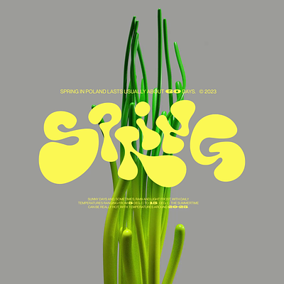 SPRING animation branding design illustration lettering