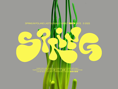 SPRING animation branding design illustration lettering