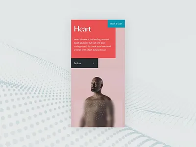 Neko Case Study animation branding design interactive motion ui ux website
