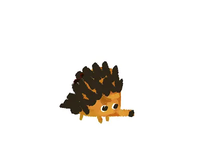 hedgehog illustration