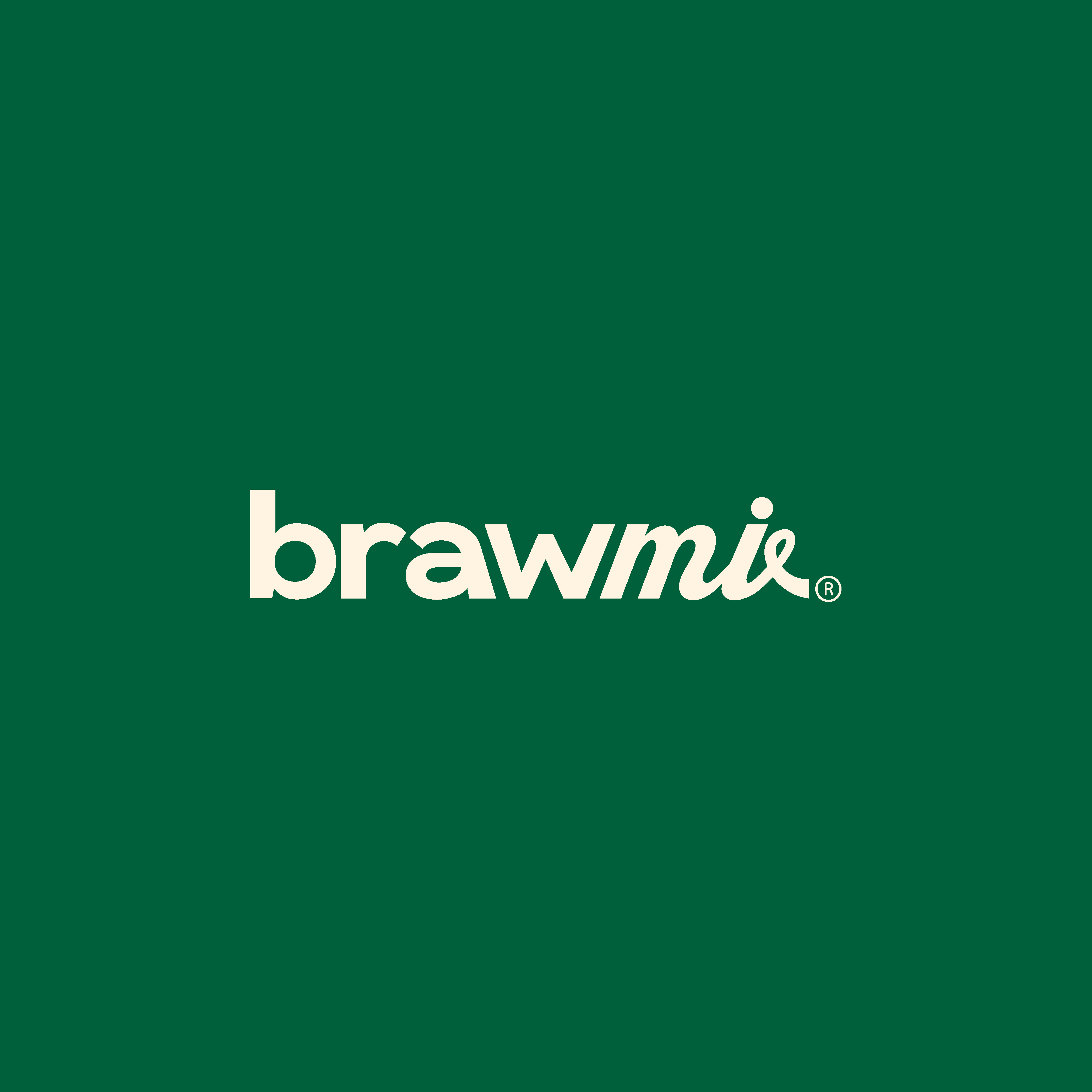 Brawmi Logotype branding graphic design logo