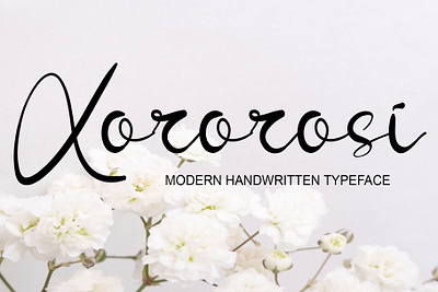 Xororsi 3d animation branding design font graphic design handwritten fonts illustration logo motion graphics typeface typography ui