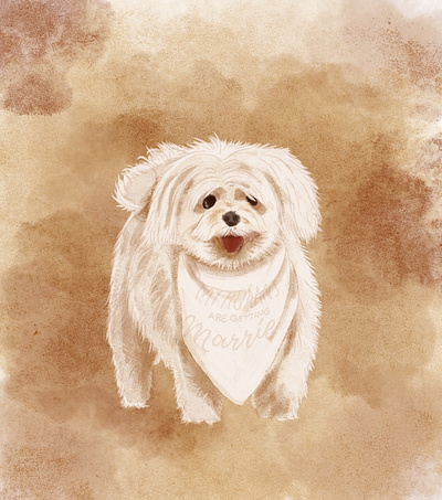 Belle the doggo dog illustration maltese procreate watercolor wedding