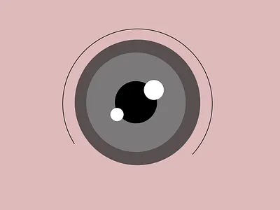 Lens branding design graphic design illustration logo vector