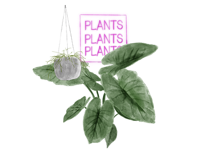 Plant Illustration business design illustration neon plant plants watercolour