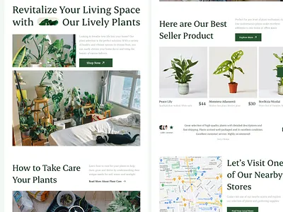 Plant Shop Landing Page design e commerce market mobile plant plant shop shop ui ui design website