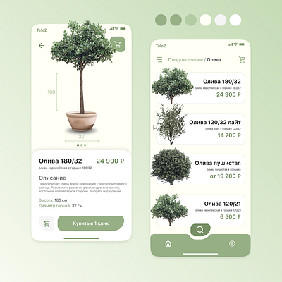 Promo app for Plant Market design mobile ui