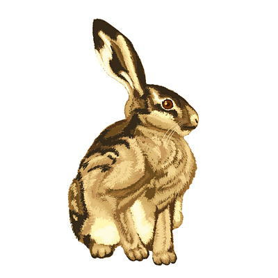 Сидящий зайчонок. Векторная иллюстрация зайца-русака. transparent
