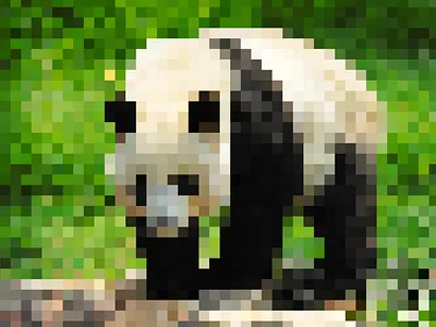 Population as pixels app design graphic design ui ux