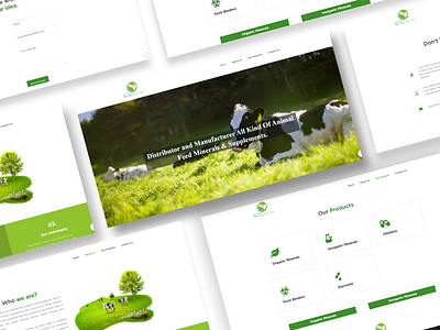 Adwith Nutrilife branding design graphic design illustration logo prototype ui ux uxui web design wireframe