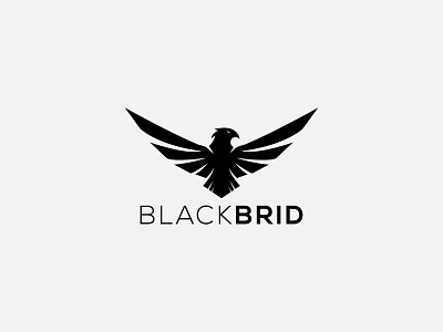 Black Bird Logo black bird black bird logo eagle eagle logo eagle wings eagles hawk hawk logo hawks wings wings logo
