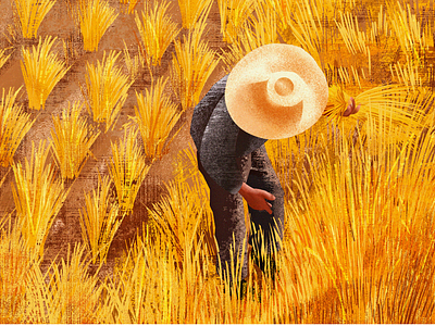 Wheat Harvest || illustration agriculture art artwork behance design editorial illustration farm farmer farming field food graphic design illustration illustrator nature wheat