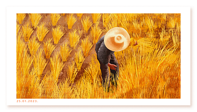 Wheat Harvest || illustration agriculture art artwork behance design editorial illustration farm farmer farming field food graphic design illustration illustrator nature wheat