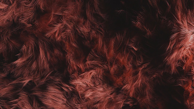 Fur 3d cinema4d design fur hair hairs houdini redshift render simulation