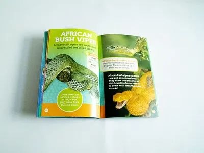 Reptiles! Book Inside book branding design kids layout snakes