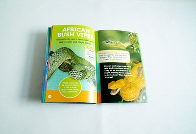 Reptiles! Book Inside book branding design kids layout snakes