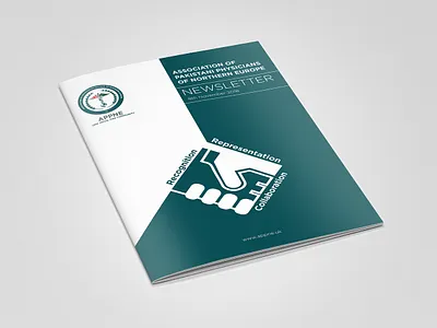 Branding and Collateral APPNE branding bro design graphic design logo typography
