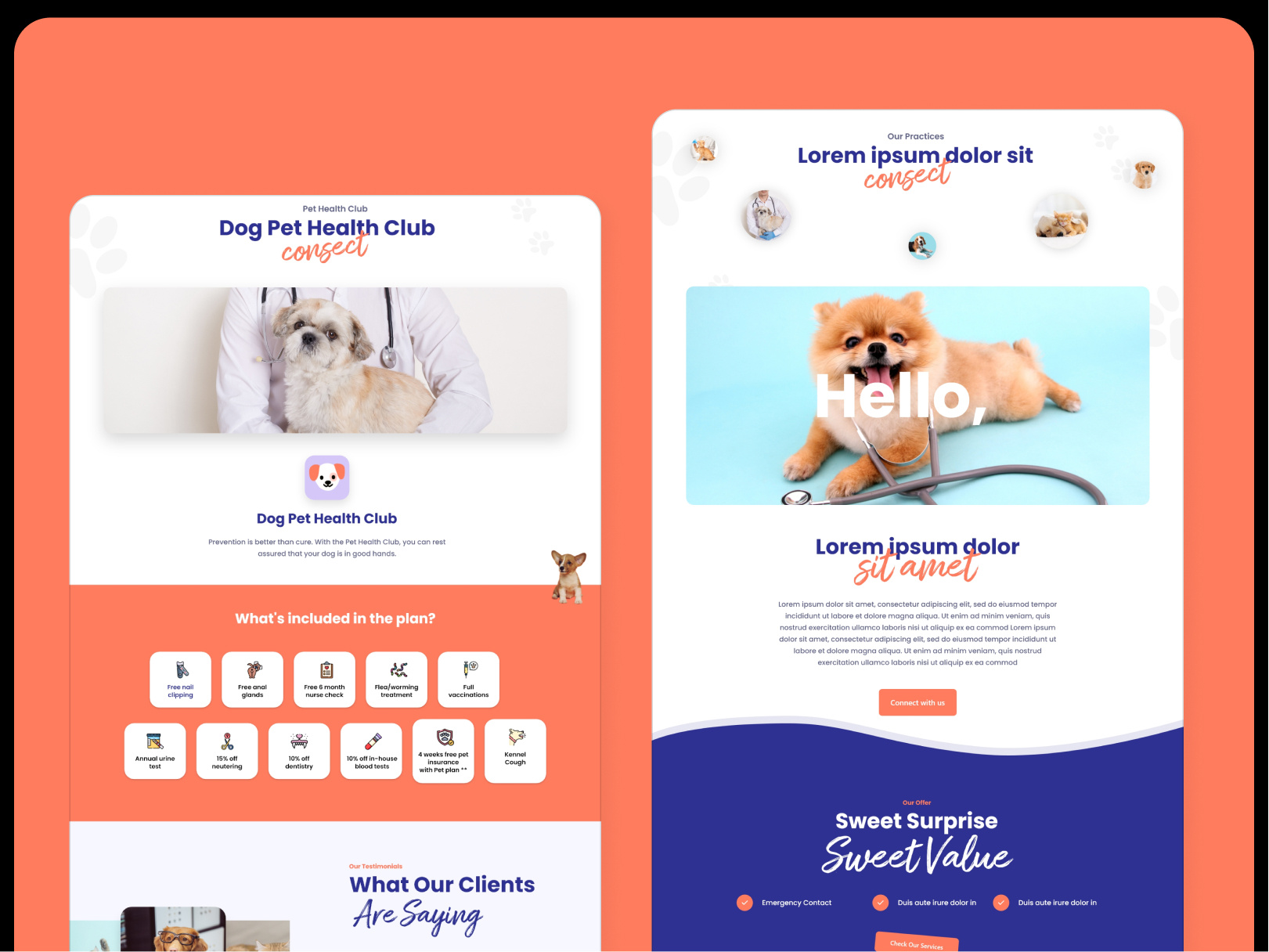 Vet Clinic Happy Tails Vet site by HiLab Solution on Dribbble