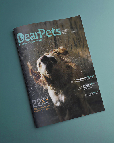 Dear Pets Pet Magazine-Editorial branding design graphic design logo typography