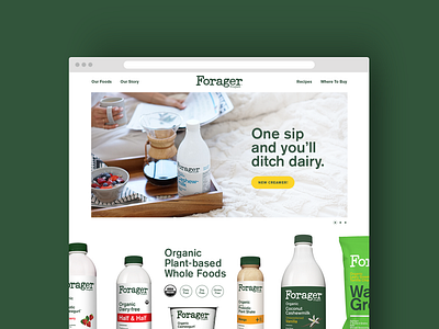 Forager Project Website art direction creative direction forager project web design website