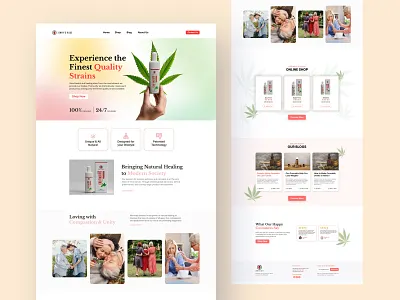 CBD Website UI Design branding cbd website design figma graphic design ui user interface ux website